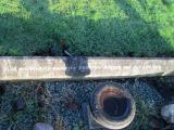image of grave number 368932